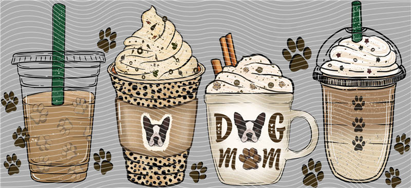 16oz Most popular-3847